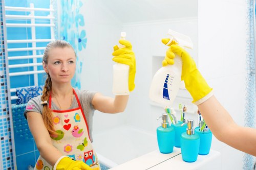Professional pet stain odour removal in a Stamford Hill home