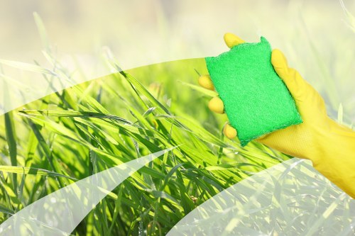 Carpet cleaning quote process for a Stamford Hill home
