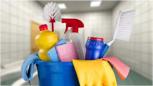 Carpet cleaning team in Stamford Hill sorting recyclable materials