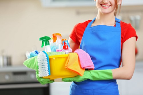Professional carpet cleaning process in a Stamford Hill home