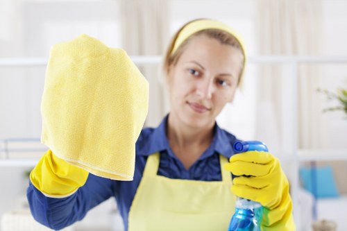 Stamford Hill carpet cleaners introducing professional local carpet care