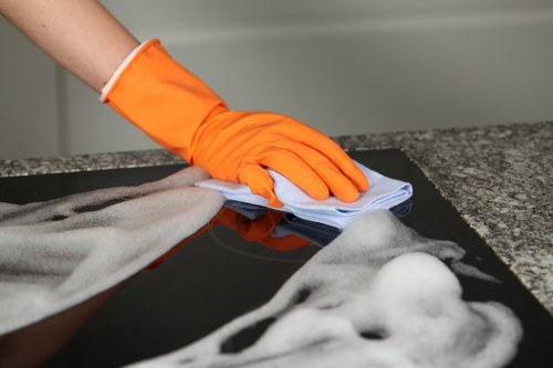 Pet stain removal process for carpets in Stamford Hill