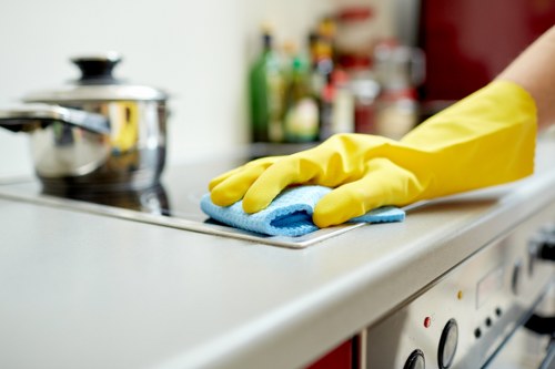 Deep cleaning a carpet to remove pet odour in Stamford Hill