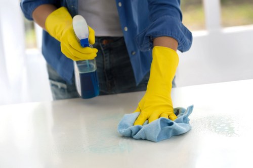 Local Stamford Hill carpet cleaner emphasizing quality and reliability