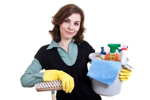 Staff assessing a carpet cleaning complaint case